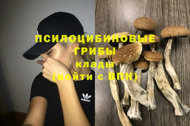 Псилоцибиновые грибы Magic Shrooms  кракен зеркало  Набережные Челны 